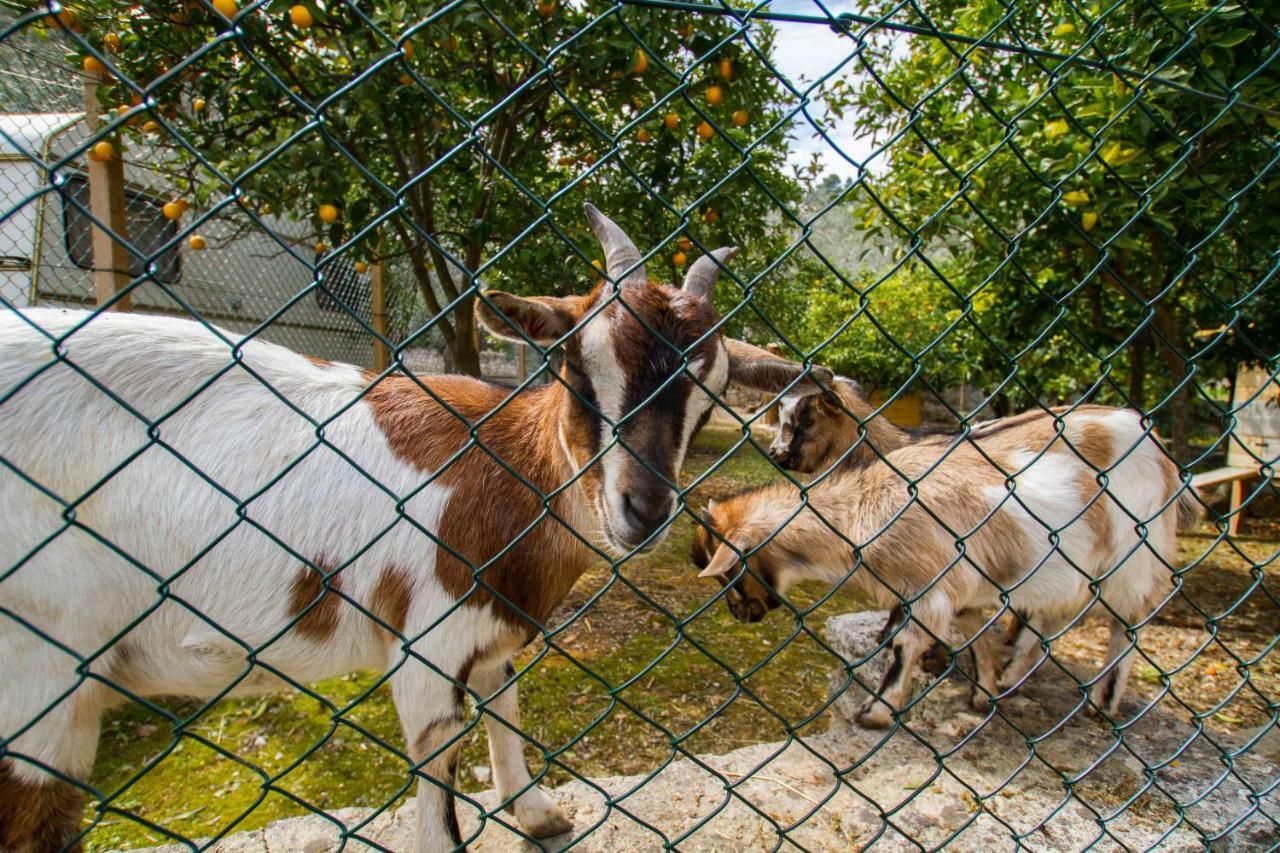 Village Valle D'Oro Aparthotel San Menaio Zewnętrze zdjęcie