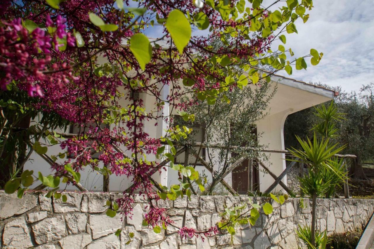 Village Valle D'Oro Aparthotel San Menaio Zewnętrze zdjęcie